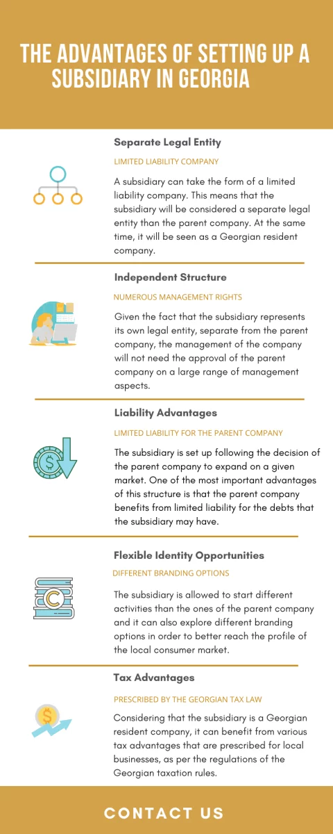 the-advantages-of-setting-up-a-subsidiary-in-georgia.png